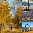 파스쿠찌성성호수공원디아이점 | 천안 데이트 코스 천호지 드라이브 단풍 명소 + 성성호수공원