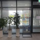 바로엘내과의원 네이버블로그