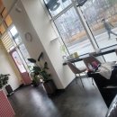 살롱드 947 이미지