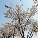 감곡문화마을 이미지
