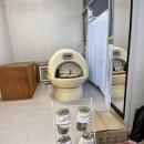 온진힐링 | 사천 온진힐링, 사천체형교정 전문점에서 거북목 교정 받고 온 후기