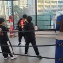 복싱 그 자체 이미지
