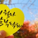 해피하모니 이미지