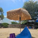 은어송이테마공원 | 2025년<은어봉화축제>