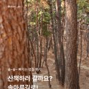 솔마루길 대공원산 | 🌲 울산 남구 솔마루길, 명절 칼로리 정리 코스!
