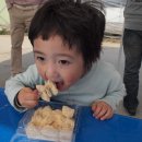 동영농장 네이버블로그