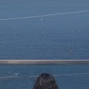 여수 아일리아 펜션 이미지