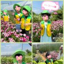 다윗농원 네이버블로그