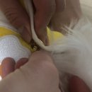 러브아지 이미지