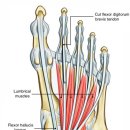 단지장골1 이미지
