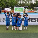 일레븐 일간스포츠