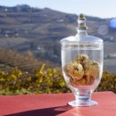 송로축산 이미지