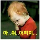 팡팡 이미지