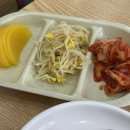 김밥나라 | 순천 조례동 김밥나라 솔직 후기