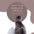 반려 이미지