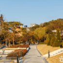 가을노을C 이미지