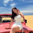 영차투어 이미지