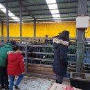 솔미농장 이미지