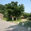 큰골조경