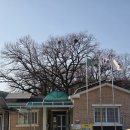 연정2리 이미지