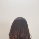 모이케어