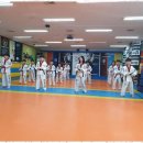 강인태권도체육관 | 선주초태권도 블랙벨트태권도, 아이들을 위한 최고의 선택!