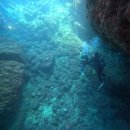 Lucky Bros(럭키브로스) | 푸른동굴 스노쿨링 , 푸른동굴 주변맛집 ,더 브로스 샌드위치, 이온몰 라이카무점, 단보라멘, 오키나와...