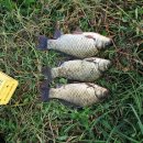 모아2리 이미지