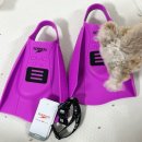 엘리트 소프트 | 스피도 디엠씨 콜라보 엘리트맥스 숏핀 퍼플 xs 사이즈 후기 (엘리트핀,슈퍼핀과 비교)