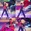탑들 Daum카페