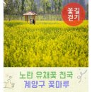 서운체육공원 (계양체육관) 이미지