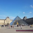 기발한식당 이미지