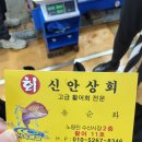 신안상회 이미지