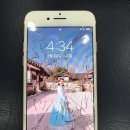 경주서비스 이미지