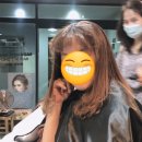 하시모토겐죠미장 이미지