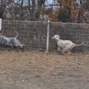 아이페티앙 이미지