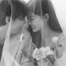 심 스튜디오