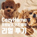 가족 얼굴 쿠키 만들기(B반) | 포토담요 주문제작 후기｜CozyHome 한성TEX로 강아지 사진 담요 만들기 (퀄리티 실화?)