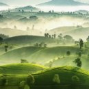 아트뮤지엄 려 이미지