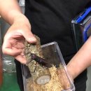 포항곤충농장 이미지