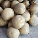 재용농장 이미지