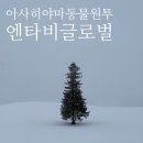 겨울 삿포로 여행 비에이 투어 추천 아사히야마 동물원 코스 엔타비글로벌 엔데이트립