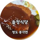 솔정 이미지