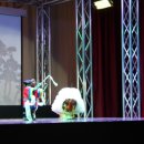 성보촌야외수영장 이미지