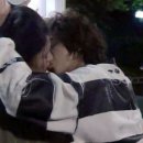 펫갤러리 이미지