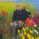 연지하우스 생산 | 강진청자축제에서 백련사와 다산초당까지, 봄을 건너 걷다