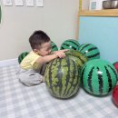 8월 5일🍉씨앗반 🍉(열린 어린이집 강혜린 어머님) 이미지