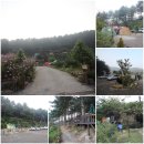 금동산야 이미지