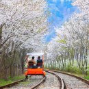 남서울펫호텔 이미지