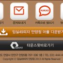 임실49피자 이미지